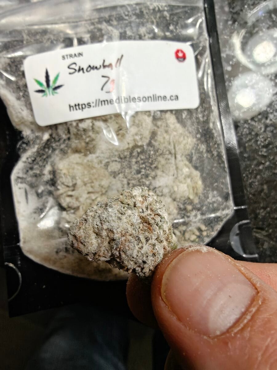 Image #1 from Dana Bremault