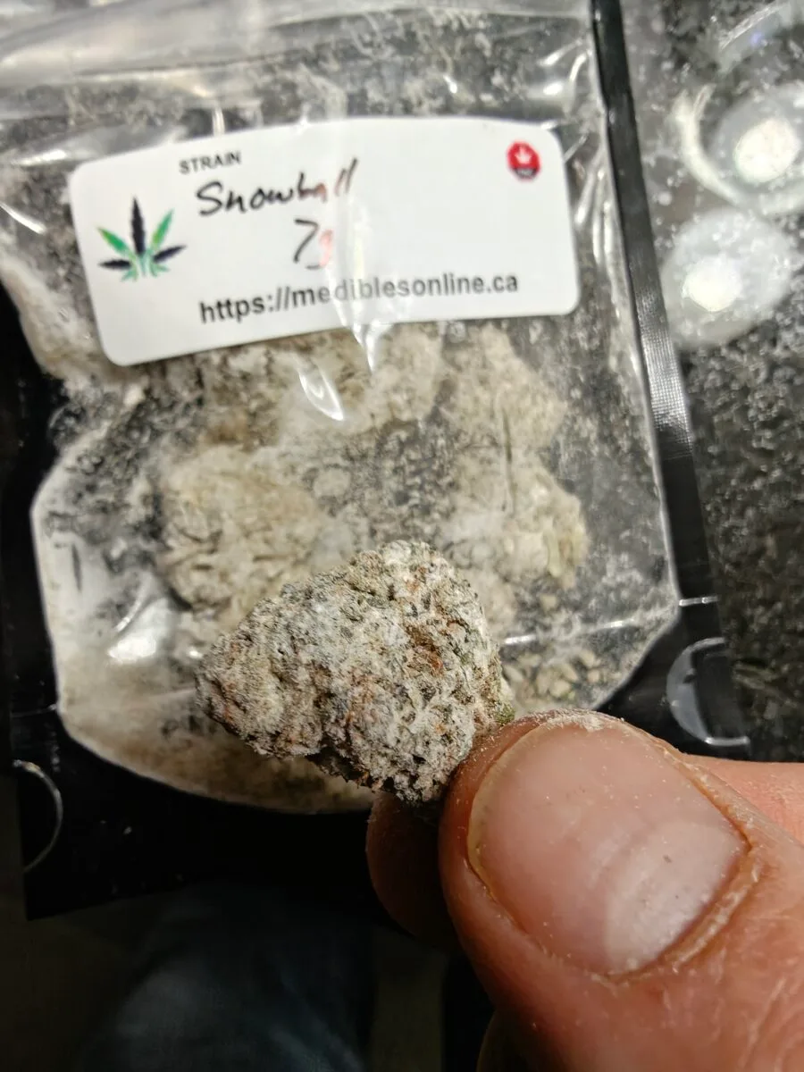 Image #1 from Dana Bremault