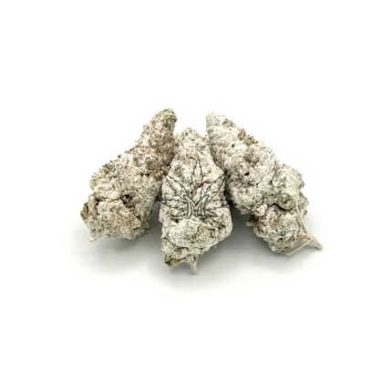 Snowball