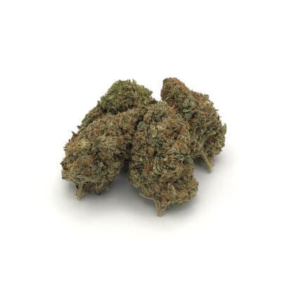 white widow cannabis