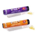 sesh shatter pre rolls