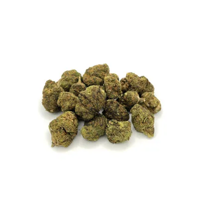 n1 skunk